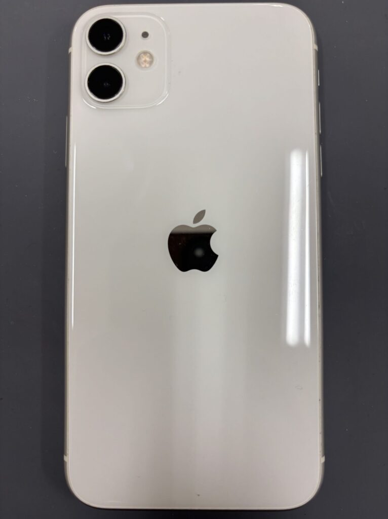 現在の画像に代替テキストがありません。ファイル名: iPhone11.jpeg